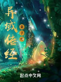 异域传经:皇子传封面