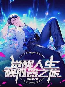 觉醒人生模拟器之旅封面