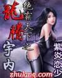 绝霸天下之龙腾宇内封面