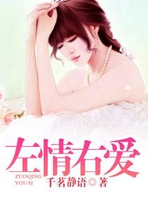 左情右爱封面