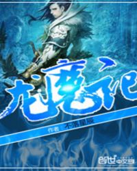 龙魔记封面