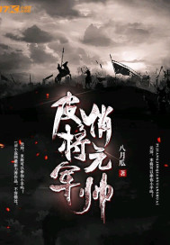 皮将军俏元帅封面