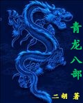 青龙八部封面