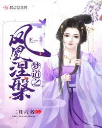 梦道之凤凰涅槃封面