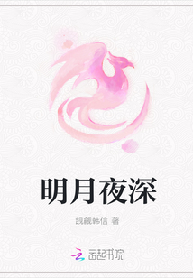明月夜深封面