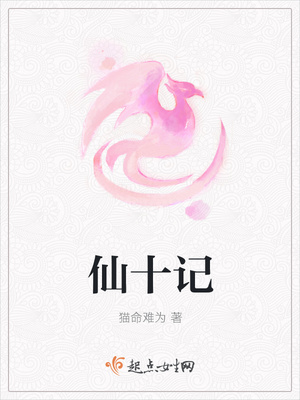 仙十记封面