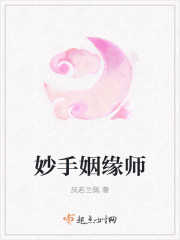 妙手姻缘师封面