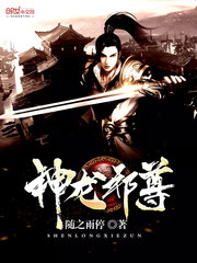 神龙邪尊封面