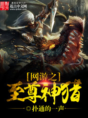 网游之至尊神猎封面