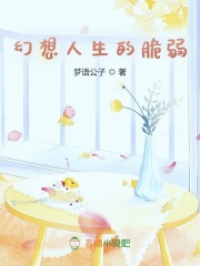 幻想人生的脆弱封面