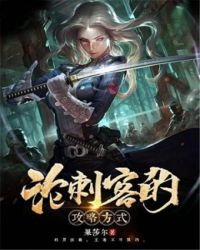 论刺客的攻略方式封面