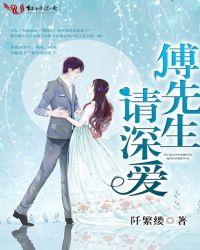 傅先生请深爱封面