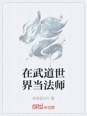 在武道世界当法师封面