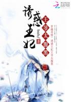 诱惑王妃王爷太腹黑封面