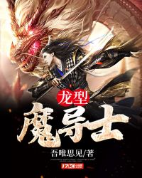 龙型魔导士封面