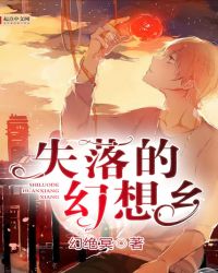 失落的幻想乡封面