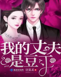 我的丈夫是豆丁封面