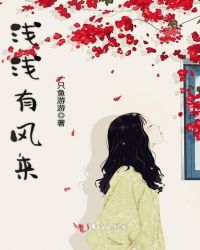 浅浅有风来封面