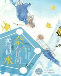 柔情似水，奈有几何封面