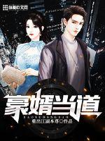 豪婿当道封面