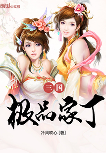 三国极品家丁封面