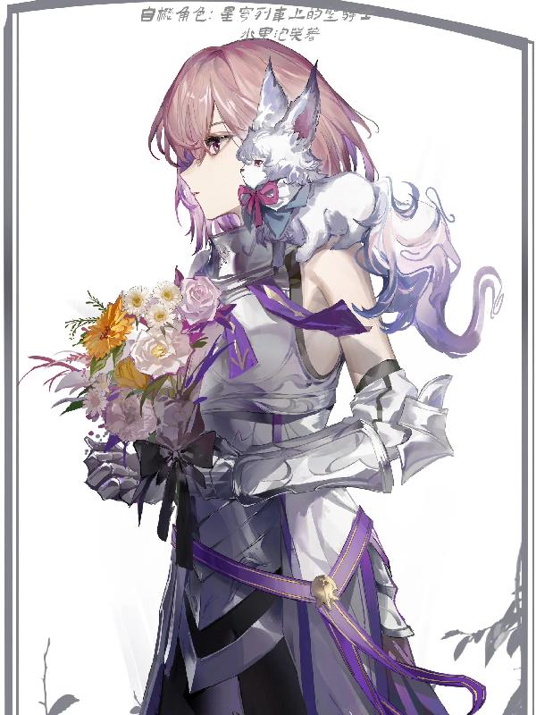 自机角色:星穹列车上的圣骑士封面