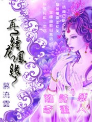 再续龙凤缘封面