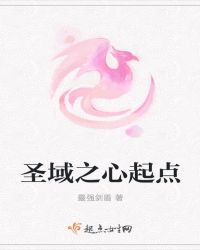 圣域之心起点封面