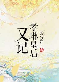 孝琳皇后又记封面