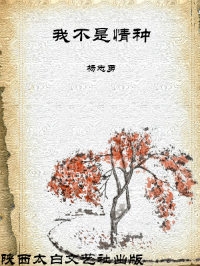 我不是情种（全本）封面