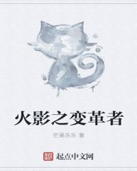 火影之追寻光明封面