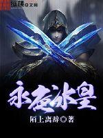 永夜冰皇封面