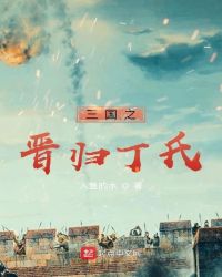 三国之晋归丁氏封面