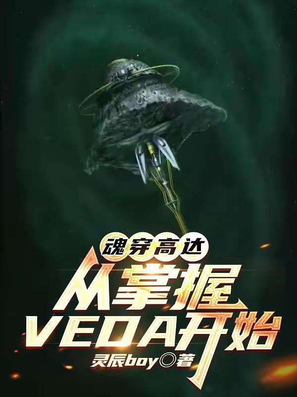 魂穿高达：从掌握VEDA开始封面