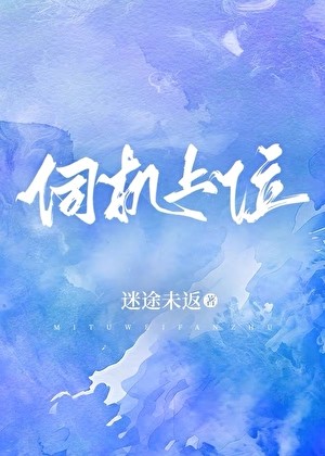 伺机上位封面