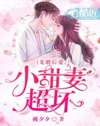 小甜妻超坏封面