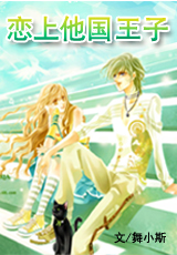 恋上他国王子封面