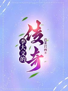 李大文的传奇封面