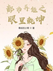 都市异能之眼里乾坤封面