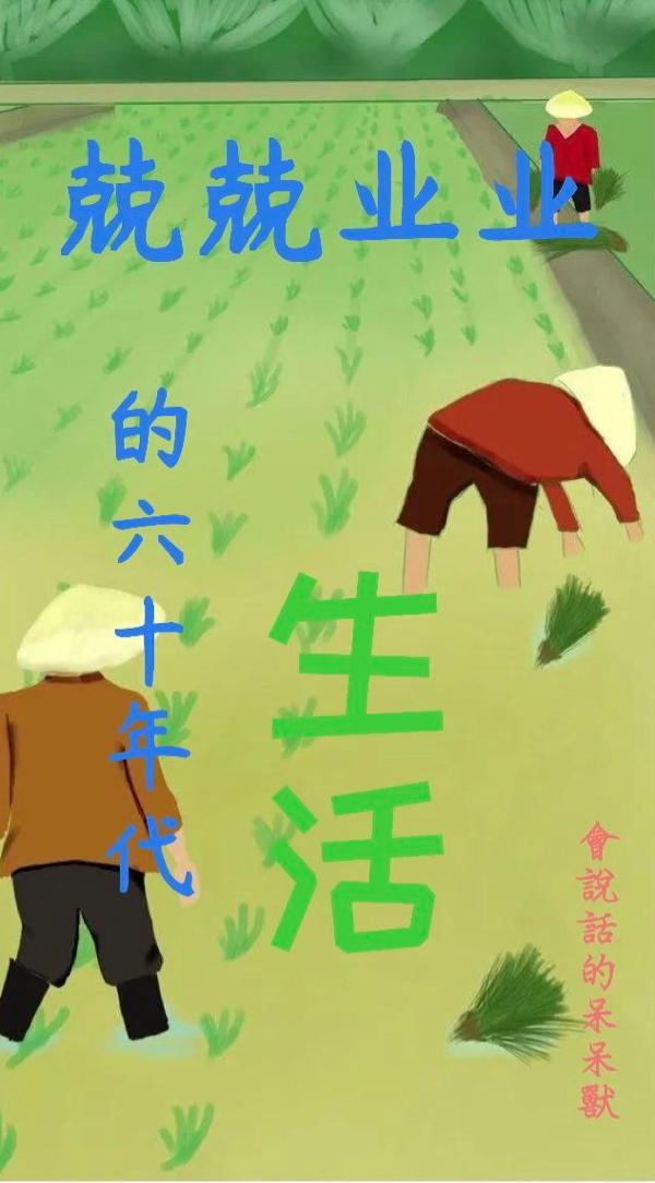 兢兢业业的六十年代生活封面