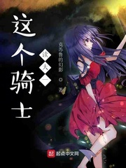 这个骑士读大一封面