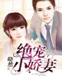 绝宠小娇妻封面