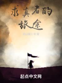 求真者的旅途封面