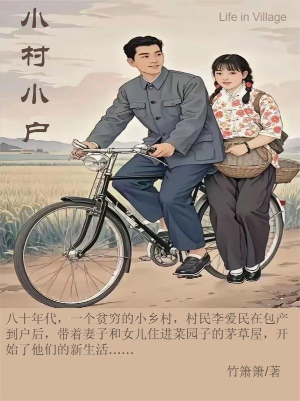 小村小户封面