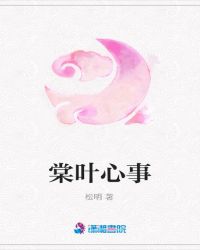 棠叶心事封面