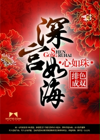 深宫如海心如珠封面