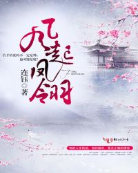 风起凤翎封面