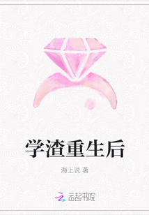 学渣重生后封面