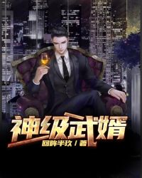 神级武婿封面