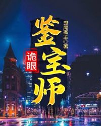 诡眼鉴宝师封面